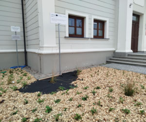 Park kieszonkowy, Siedlce, sala Podlasie