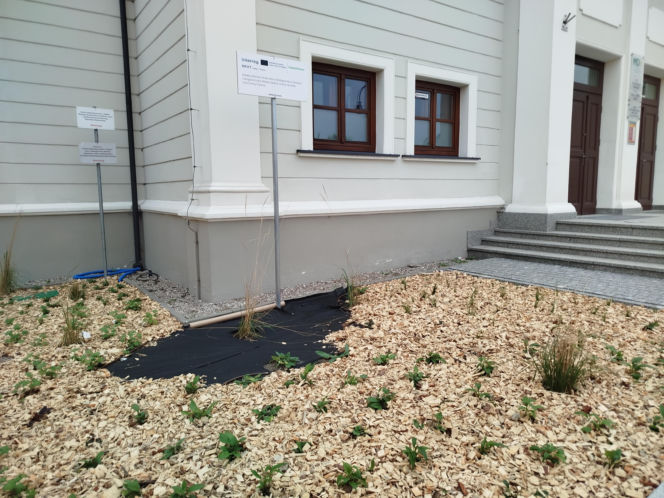 Park kieszonkowy, Siedlce, sala Podlasie