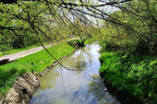 Będzie remont zbiorników wodnych parkach. Wodociącgi otrzymały pieniadze na inwestycje 