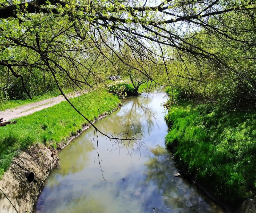Będzie remont zbiorników wodnych parkach. Wodociącgi otrzymały pieniadze na inwestycje 