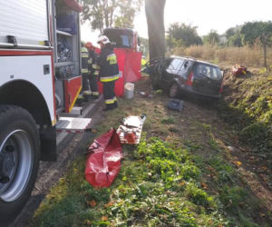 Tragiczny wypadek pod Bydgoszczą. Kierowca zginął na miejscu! [ZDJĘCIA]