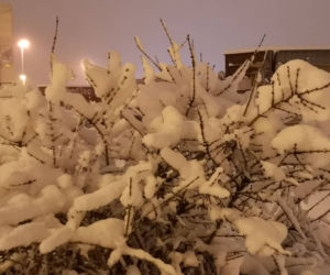Atak zimy w Białymstoku. Śnieżyca sparaliżowała miasto i region [ZDJĘCIA]