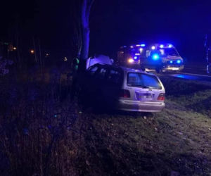 Wypadek w pobydgoskim Żołędowie. Osobówka uderzyła w drzewo! [ZDJĘCIA]