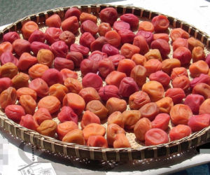 Ten owoc to japońska tajemnica długowieczności. W Polsce nikt o nim nie słyszał