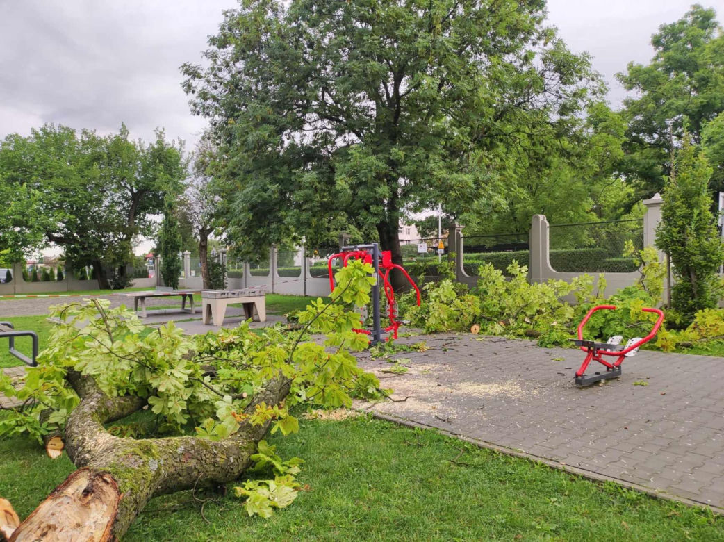 Tarnów. Dziewczynka uderzona przez zerwany konar. Koszmar na placu zabaw w Parku Strzeleckim