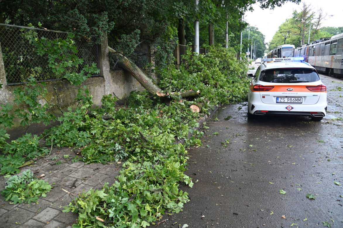 Szczecin: Zniszczenia po przejściu gwałtownej burzy