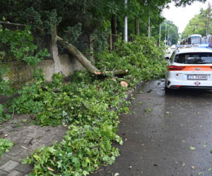 Szczecin: Zniszczenia po przejściu gwałtownej burzy