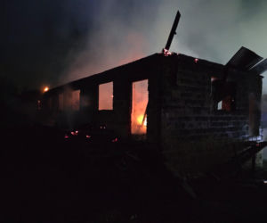 Pożar w Lipnicy Dolnej. Zwierzęta spłonęły w budynku gospodarczym
