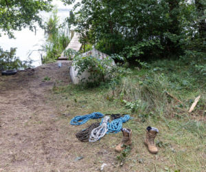 Te historie wyciskały łzy w 2025 roku. Bezsensowna śmierć, cierpienie zwierząt i niewytłumaczalna zbrodnia