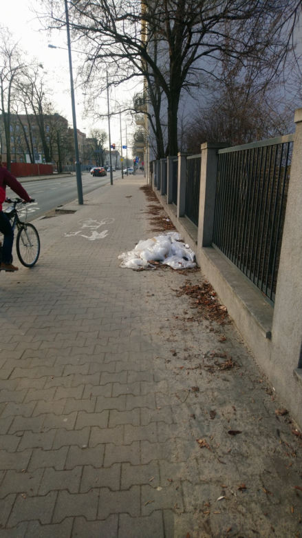 Poznań: Coraz więcej nielegalnych wysypisk! Zatrważające statystyki