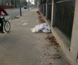 Poznań: Coraz więcej nielegalnych wysypisk! Zatrważające statystyki