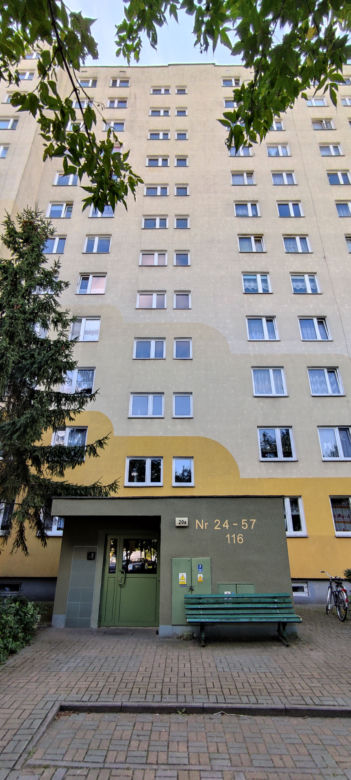 Spokojny syn i matka pozbijali się nawzajem. Sąsiedzi są w szoku i nie mogą w to uwierzyć.