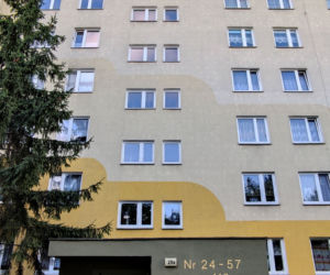Spokojny syn i matka pozbijali się nawzajem. Sąsiedzi są w szoku i nie mogą w to uwierzyć.