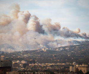 Nagrał tajemnicze słowa pani burmistrz, chodzi o pożary. Czytaj między wierszami
