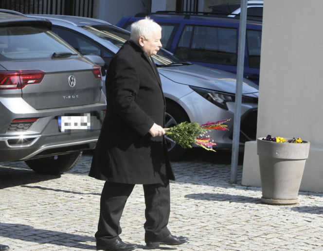 Jarosław Kaczyński szykuj się do świąt. Prezes PiS z kolorową palmą