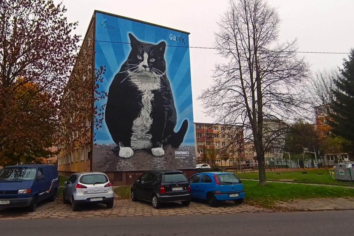 Mural z kotem Gackiem już odsłonięty
