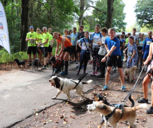 VIII Piknik Przyjaciół Schroniska w Toruniu