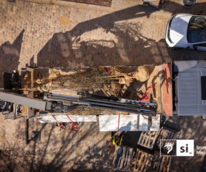 Nowe nasadzenia na Pl. Orła Białego