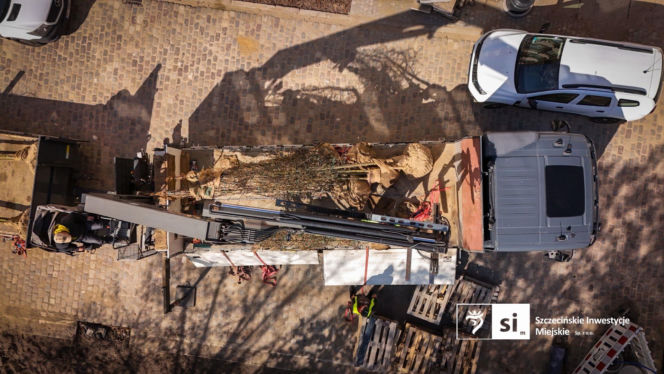 Nowe nasadzenia na Pl. Orła Białego