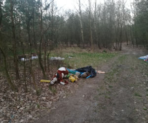 Śmieci w lasach - Siedlce