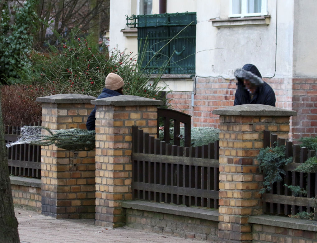 Marta Kaczyńska z rodziną kupuje choinkę