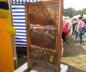 Święto Śliwki 2018