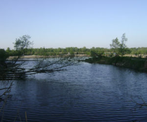 Konstancin Jeziorna