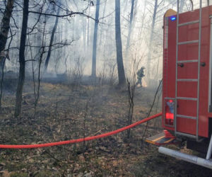 Gigantyczny pożar lasu pod Wołominem