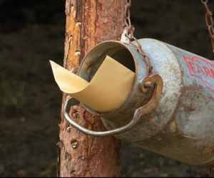 Farma, sezon 5, odcinek 17