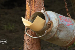 Farma, sezon 5, odcinek 17