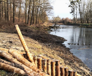 Metamorfoza Parku Miejskiego na Bydgoskim Przedmieściu! Co się zmieni?