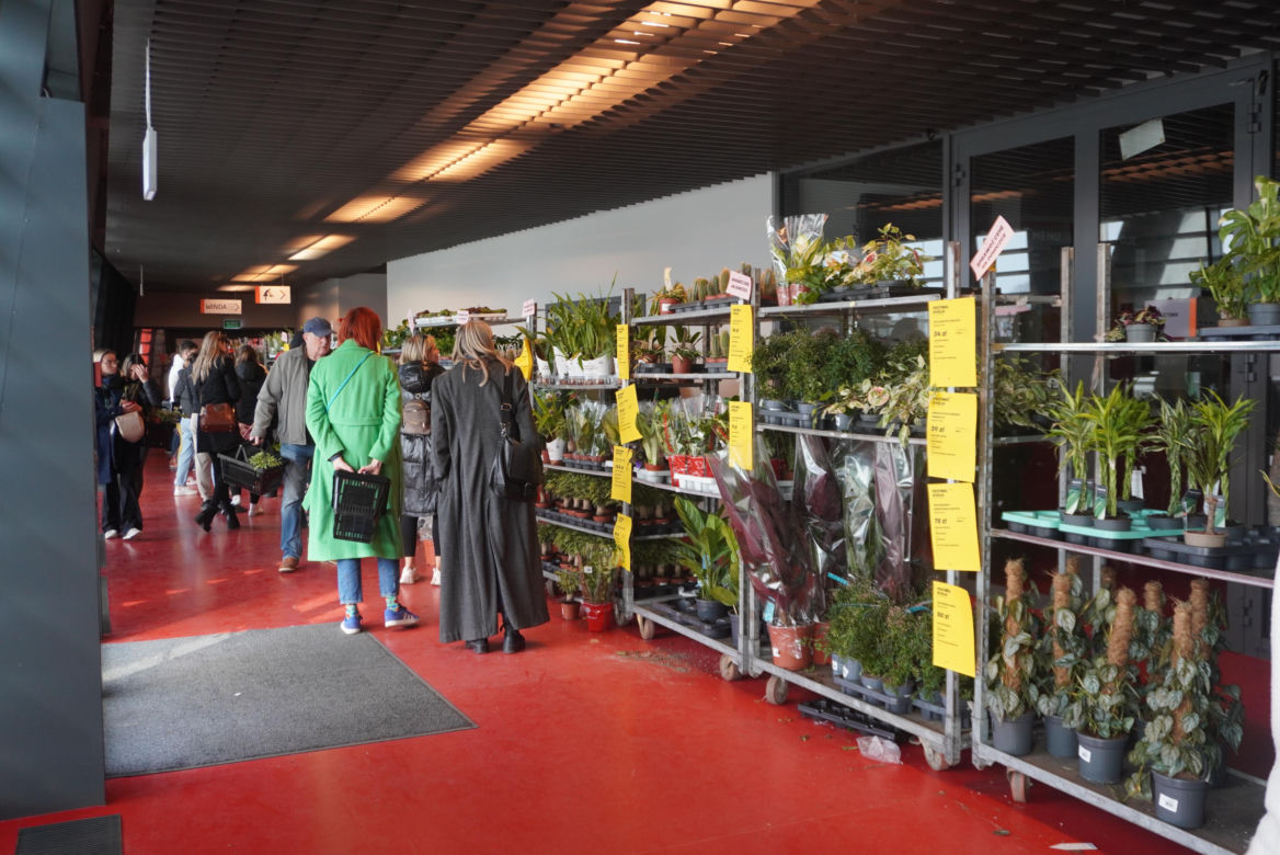 Festiwal Roślin 2025 w Białymstoku