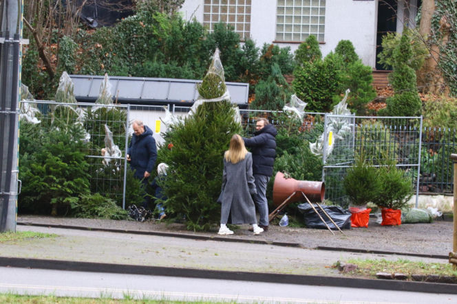 Donald Tusk z zięciem dźwigają gigantyczną choinkę. A za nimi drepcze Kasia z drugą. Wnusie premiera jak księżniczki