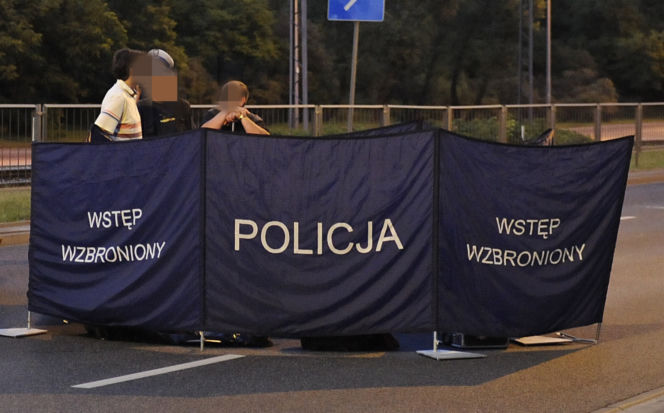Samochód wjechał w ludzi. Dwoje dorosłych reanimowano, wśród rannych dziecko