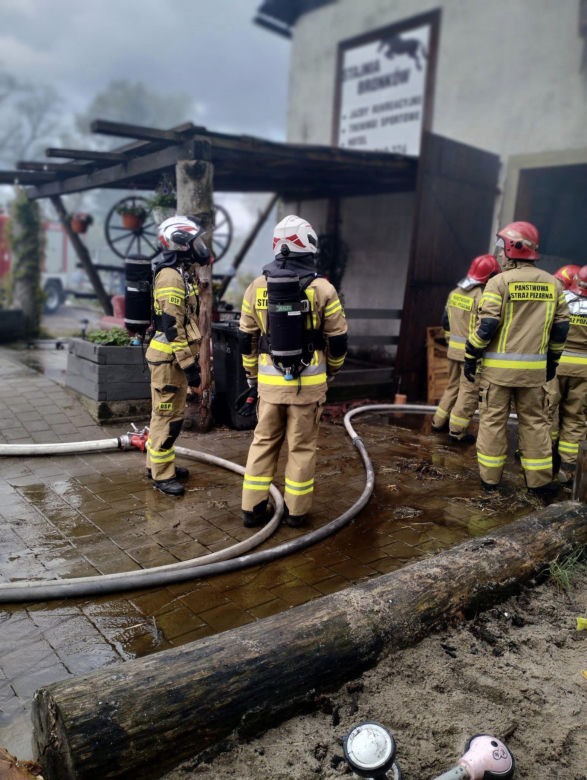 Pożar stadniny koni w Bronkowie pod Krosnem Odrzańskim 