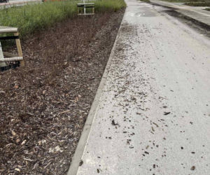 Zniszczenia w parku nad POW