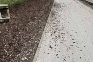 Zniszczenia w parku nad POW