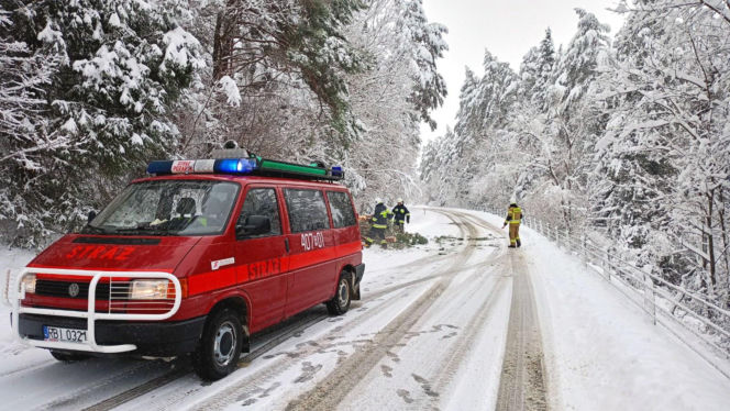 Atak zimy na Podkarpaciu: Tysiące domów bez prądu! Strażacy interweniowali setki razy, śnieg paraliżuje region