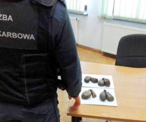 Kuźnica. Nielegalny przemyt skór bobra na granicy