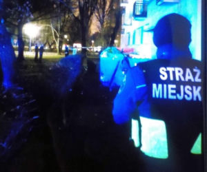 Leżała na trawniku przy ruchliwej ulicy w Warszawie. Powtarzała: „Zimno, boli. Co przydarzyło się 30-latce?