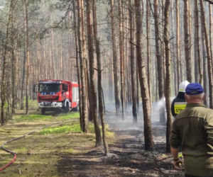 Walczyli z pożarem dwa dni! W akcji gaśniczej strażakom pomagali mieszkańcy!