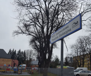 Pływali dla WOŚP w Lesznie