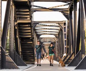 Most Europejski na Odrze w Siekierkach