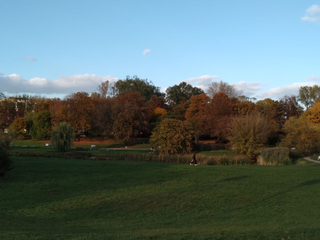 Park Skaryszewski