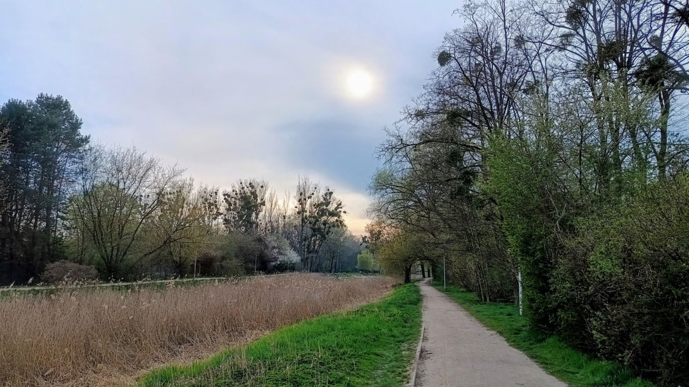 Rybaki, Toruń