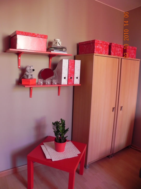 Zdjęcie 8075