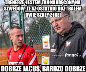 MEMY po meczu Polska - Szwecja