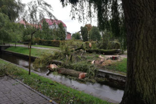 Silne wichury nad Szczecinkiem. Strażacy mieli pracowitą noc [FOTO,VIDEO]