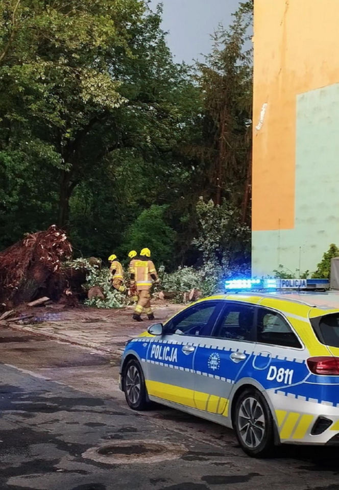 Krajobraz jak po apokalipsie! Potężna burza w Dęblinie. Drzewa miażdżyły samochody