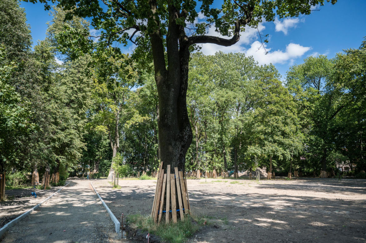 Rewitalizacja parku Bronowickiego w lublinie - postęp prac na koniec lipca 2025